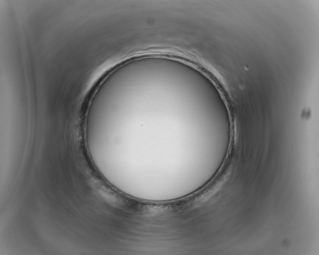 X0000096971501200802081240