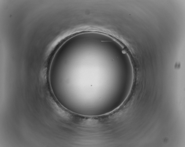 X0000096971503200802081240