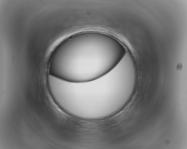X0000096971504200802081240