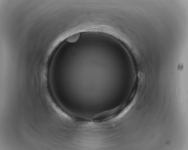 X0000096971506200802081240