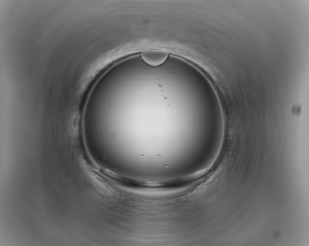 X0000096971507200802081240