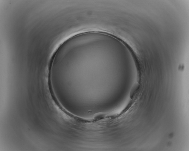 X0000096971508200802081241