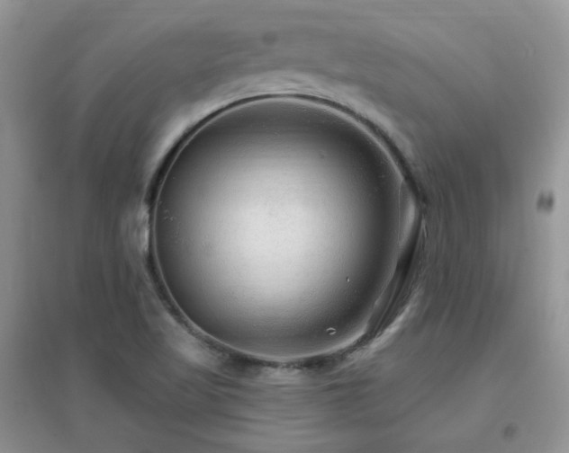 X0000096971509200802081241