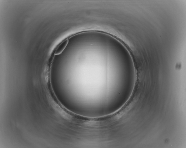 X0000096971510200802081241