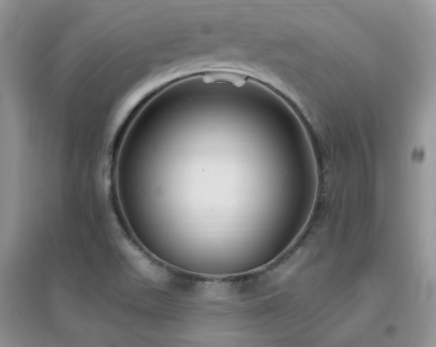 X0000096971511200802081241