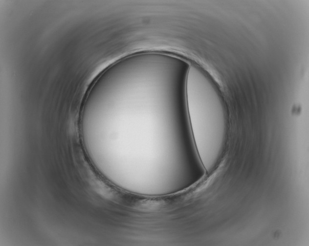 X0000096971513200802081241