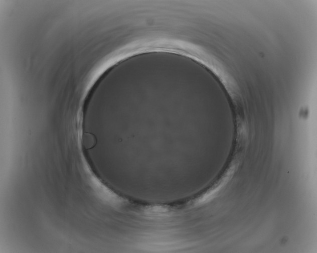 X0000096971515200802081241