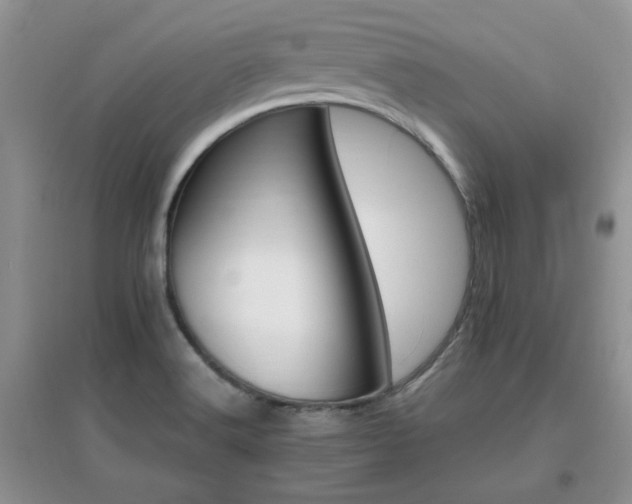 X0000096971516200802081241
