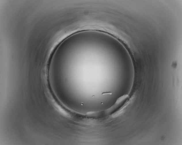 X0000096971517200802081241
