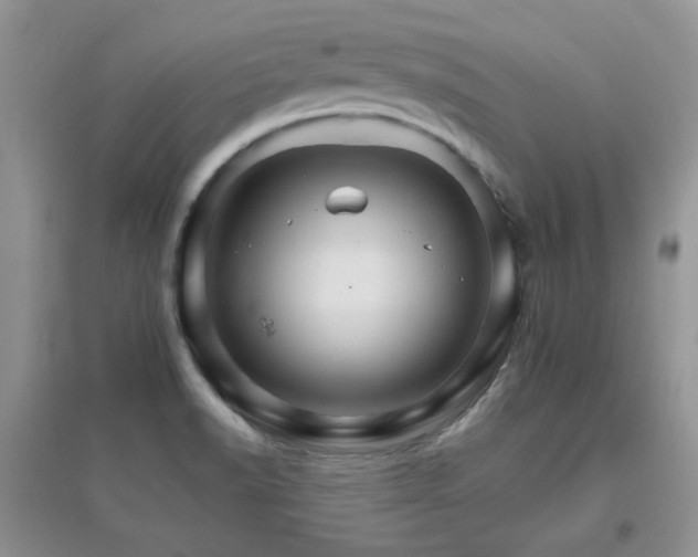 X0000096971518200802081241