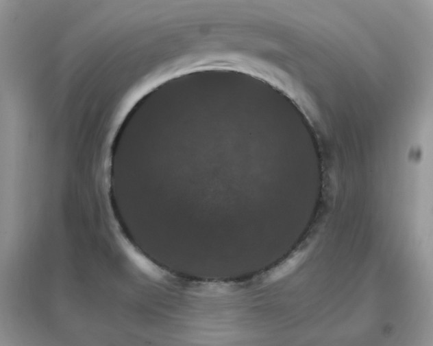 X0000096971519200802081241