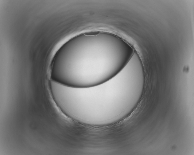 X0000096971520200802081241