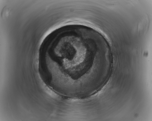 X0000096971522200802081241