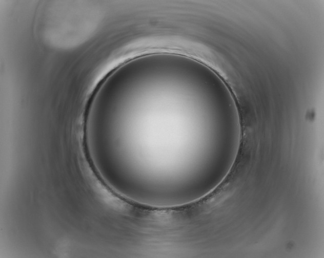 X0000096971523200802081241