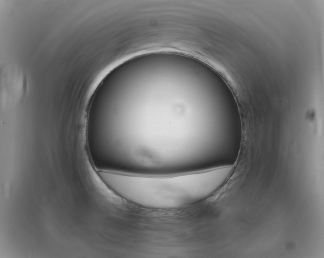 X0000096971524200802081241