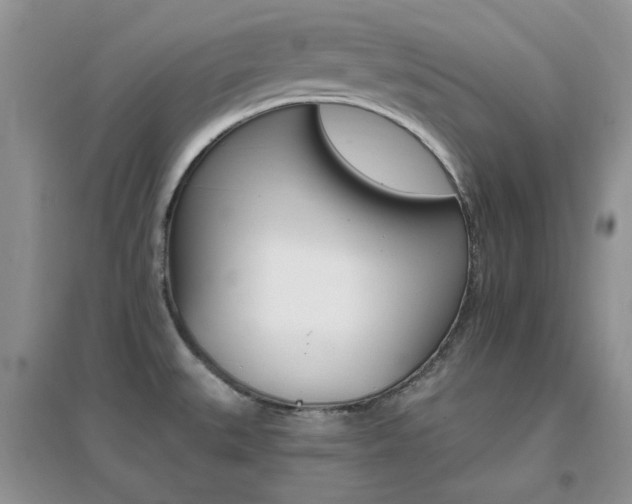 X0000096971527200802081241