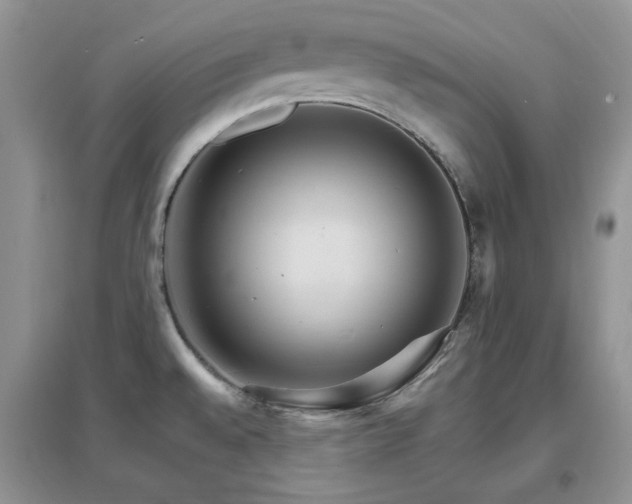 X0000096971528200802081241
