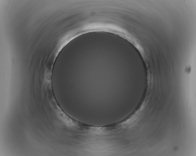 X0000096971529200802081241