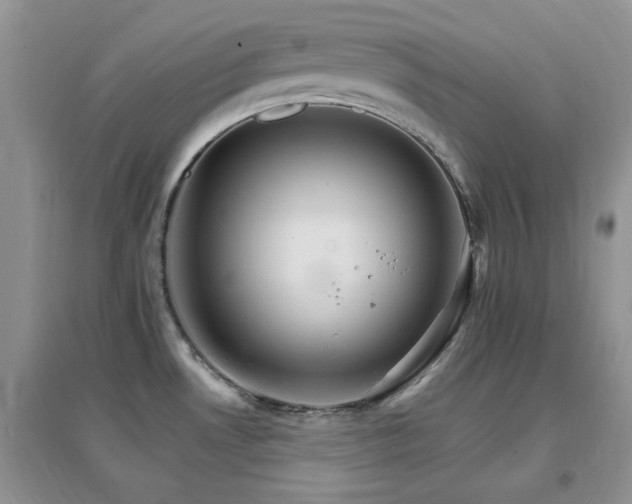 X0000096971530200802081241