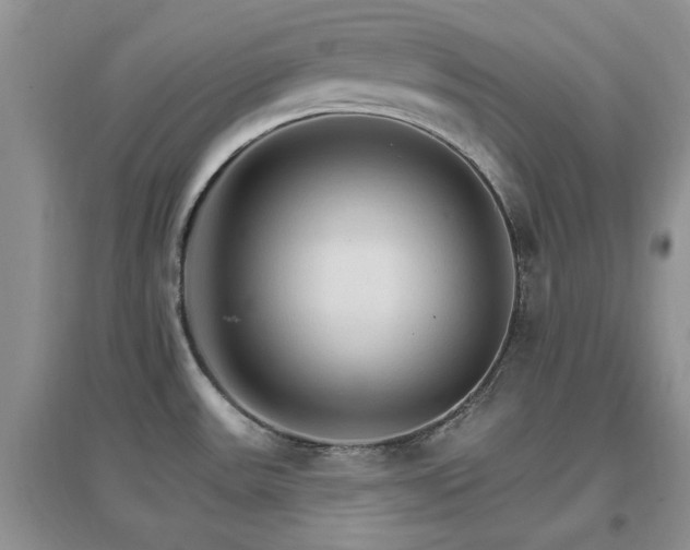 X0000096971531200802081241