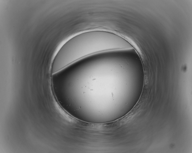 X0000096971532200802081241