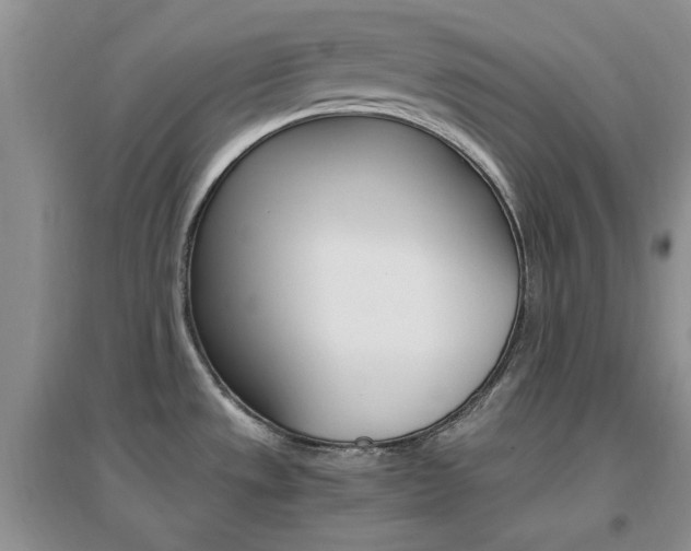 X0000096971533200802081241