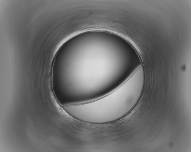 X0000096971534200802081241