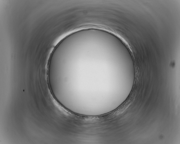 X0000096971535200802081241