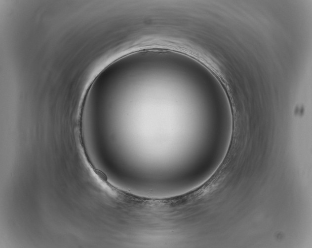 X0000096971536200802081241