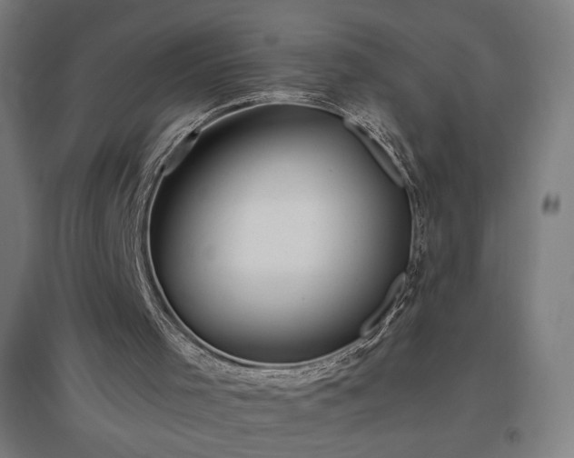 X0000096970001200802151318