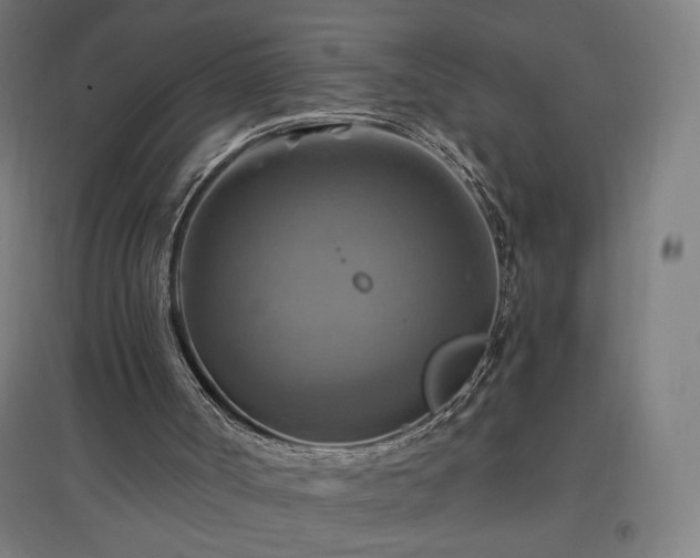 X0000096970002200802151318