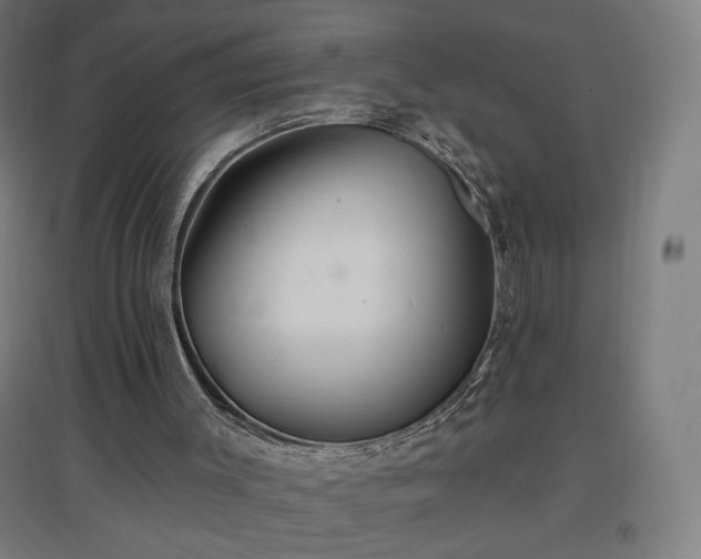 X0000096970003200802151318