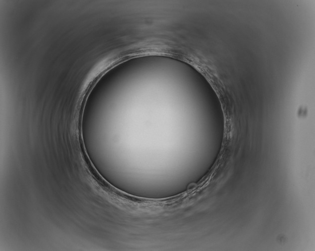 X0000096970004200802151318