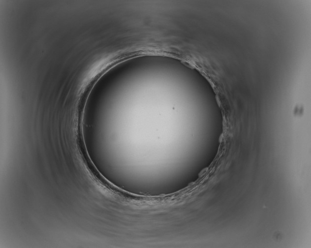 X0000096970005200802151318