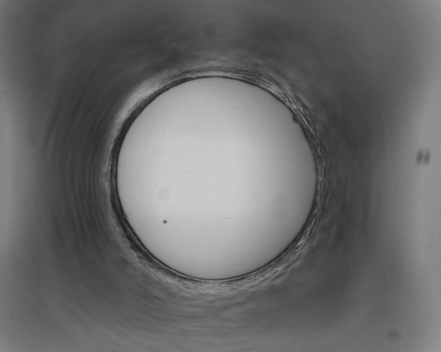 X0000096970006200802151318