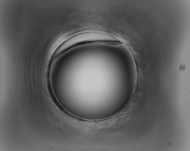 X0000096970007200802151318