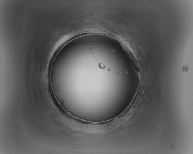 X0000096970008200802151318