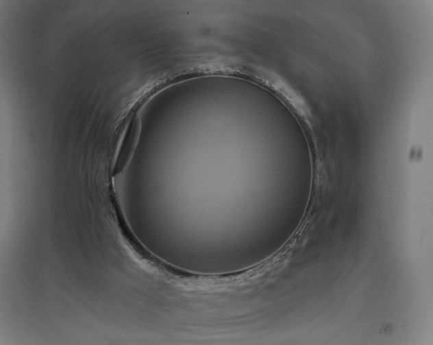 X0000096970009200802151318