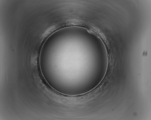 X0000096970010200802151318