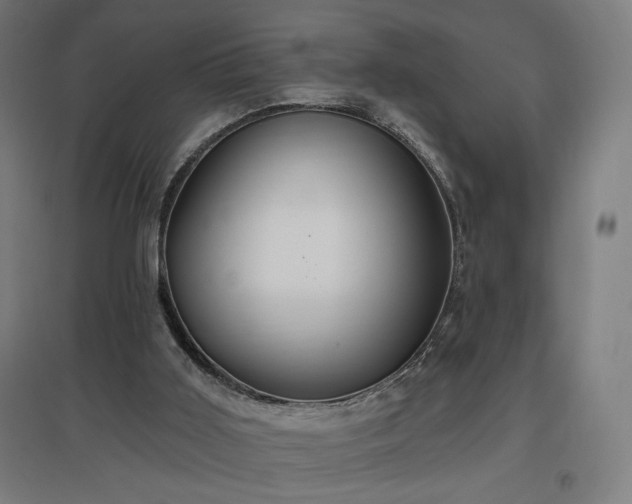 X0000096970011200802151318