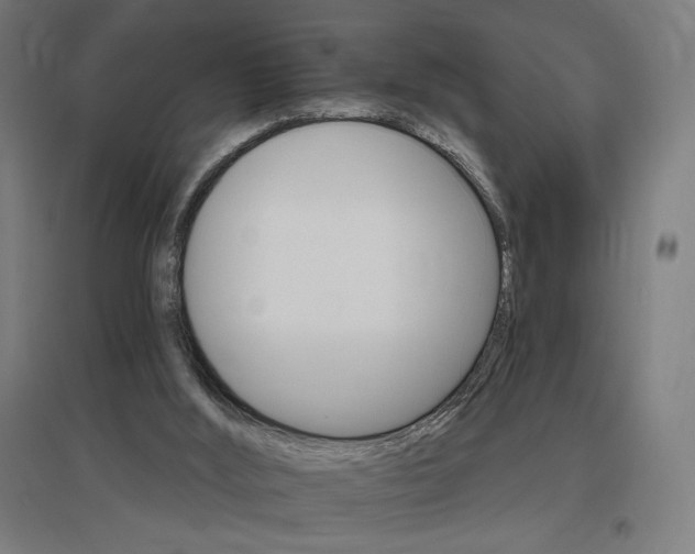 X0000096970012200802151318