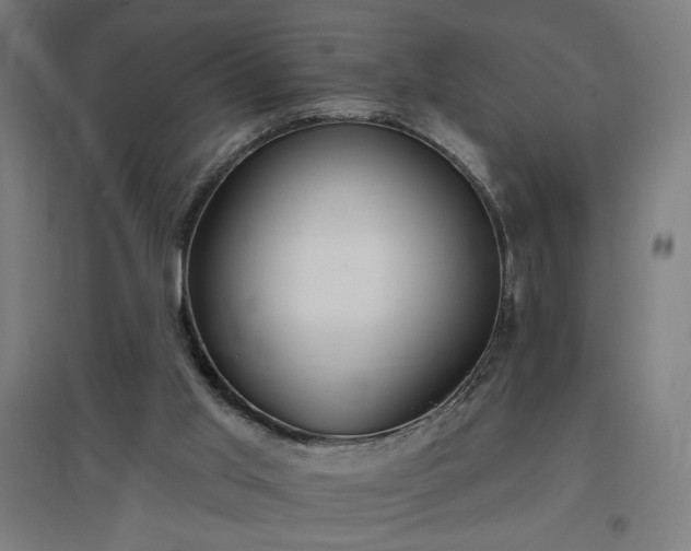 X0000096970013200802151318