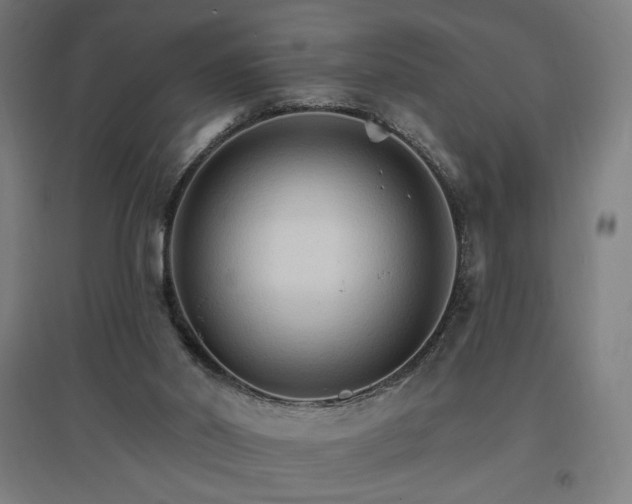 X0000096970014200802151318