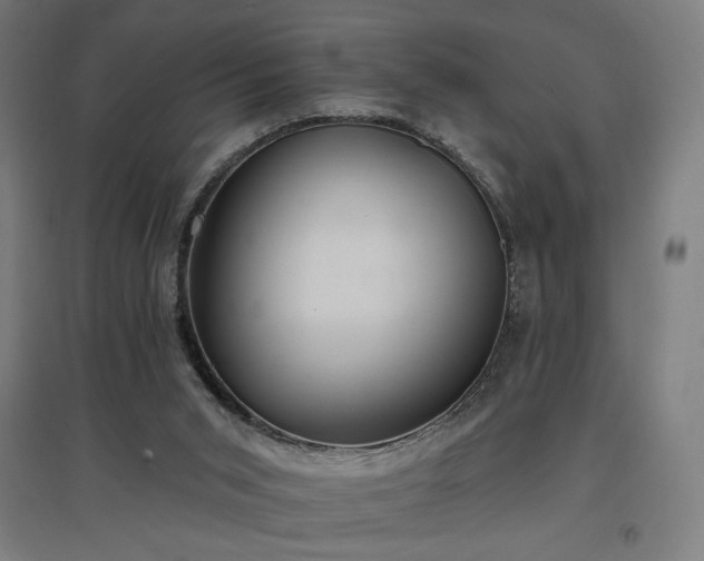 X0000096970015200802151318