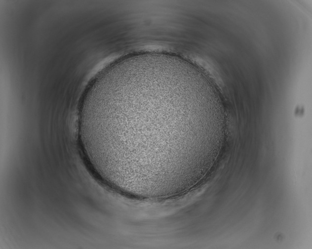 X0000096970016200802151318