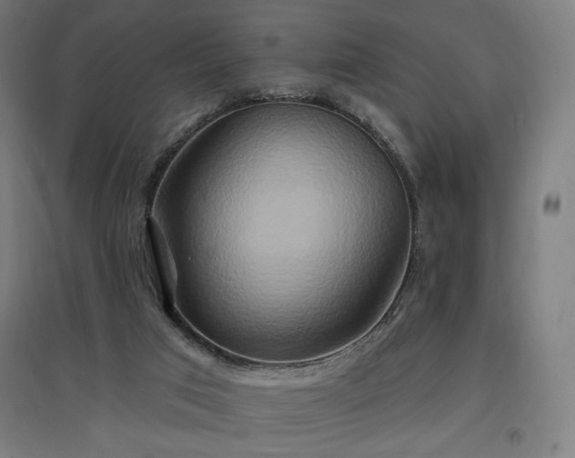 X0000096970017200802151318