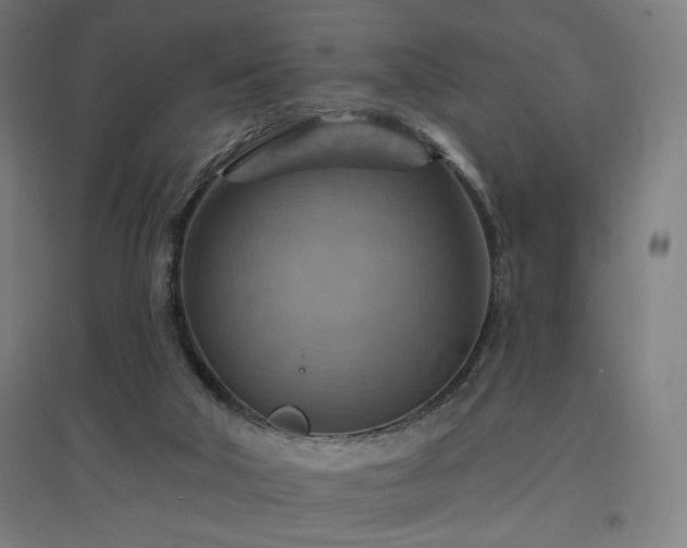 X0000096970018200802151318