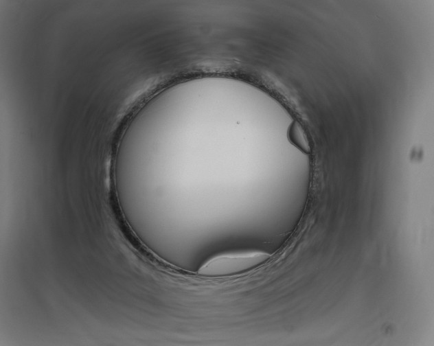 X0000096970019200802151318