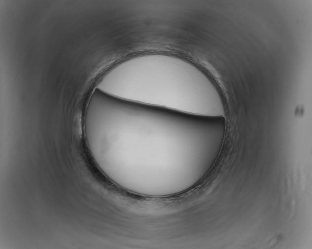 X0000096970020200802151318