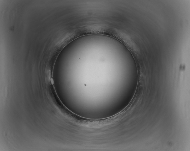 X0000096970021200802151318